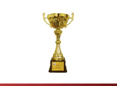 Cúp vàng cà phê Hòa Tan 2011