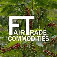 CÔNG TY TNHH THƯƠNG MẠI HÀNG HÓA FAIRTRADE VIỆT NAM logo
