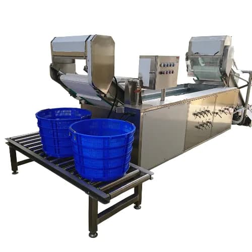Máy rửa rau lá liên tục