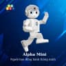 Robot Alpha Mini