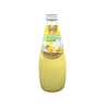 NƯỚC DỪA - LON 490 ML | XOÀI