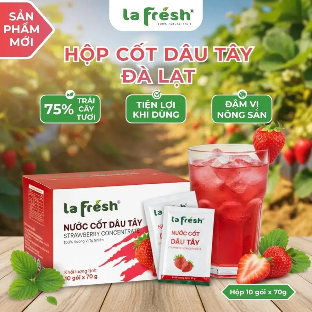 Nước cốt Dâu tây- Hộp 10 gói x 70g