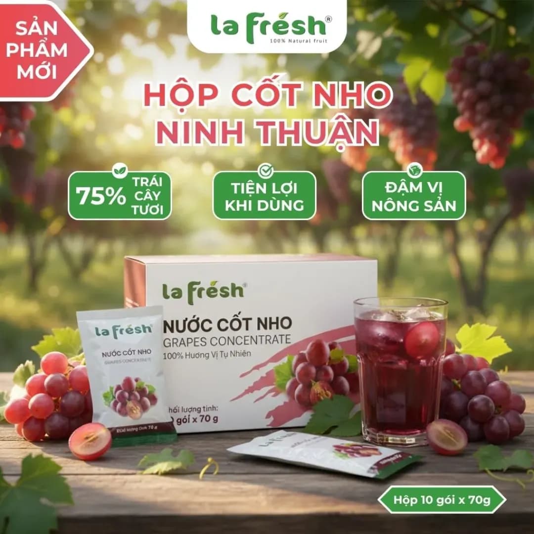 Nước cốt Nho - Hộp 10 gói x 70g