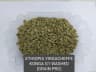 Yirgacheffe Konga G1 Washed