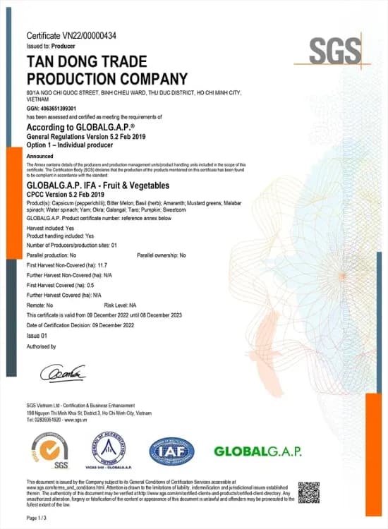 GLOBAL GAP